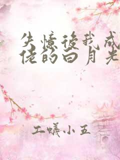 失忆后我成了大佬的白月光