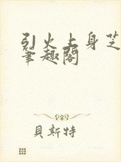 引火上身芝麻糖笔趣阁