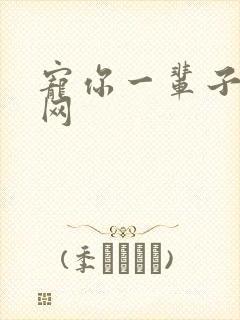 宠你一辈子书包网