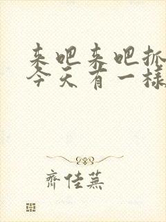 来吧来吧抓紧点今天有一样好东西