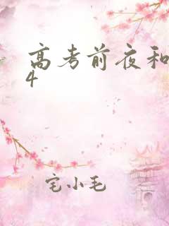 高考前夜和儿子4