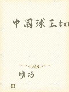 中国球王txt