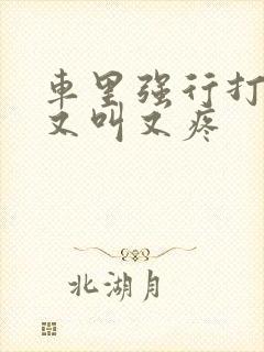 车里强行打扑克又叫又疼