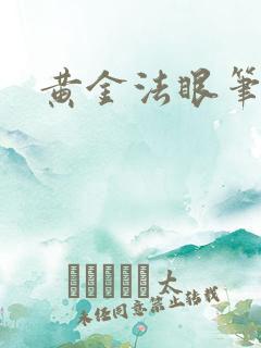 黄金法眼笔趣阁