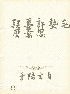 段嘉许垫毛巾什么意思