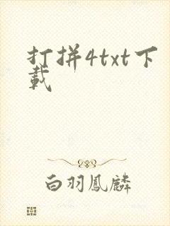 打拼4txt下载