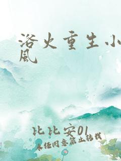 浴火重生小说陈风