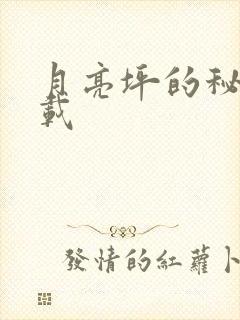 月亮坪的秘密下载