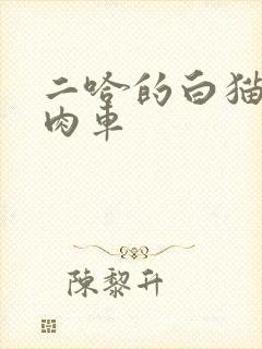 二哈的白猫师尊肉车