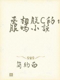丞相朕C的你舒服吗小说