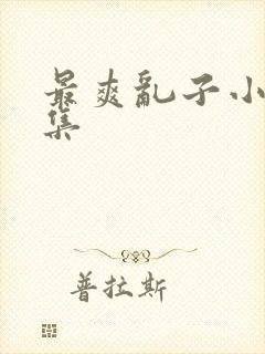 最爽乱子小说合集