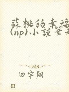 苏桃的幸福生活(np)小说笔趣阁