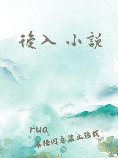 后入 小说