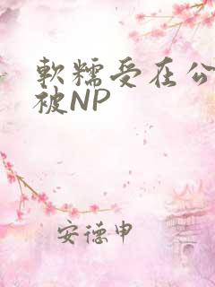 软糯受在公交车被NP
