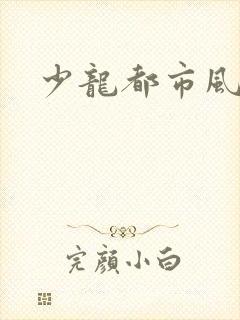 少龙都市风流行