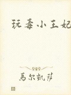 玩毒小王妃