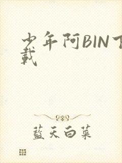 少年阿BIN下载