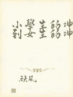 小学生的坤坤放到女生的坤里