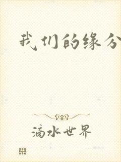 我们的缘分小说