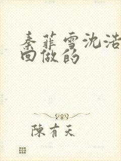 秦菲雪沈浩第几回做的