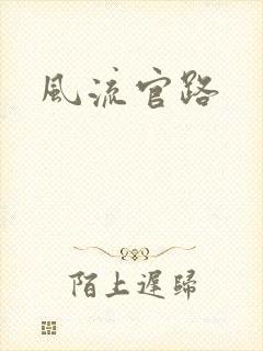 风流官路