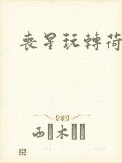 丧星玩转荷里活