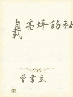 月亮坪的秘密下载