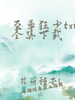 至尊狂少txt全集下载