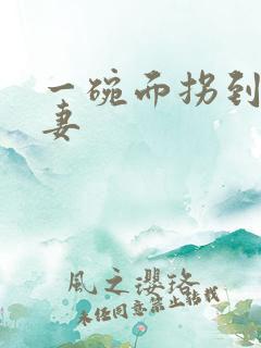 一碗面拐到美艳妻