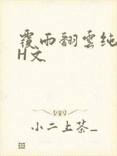 覆雨翻云纯肉高H文