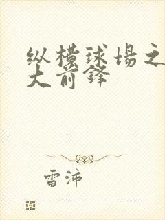 纵横球场之暴力大前锋