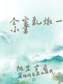 全家乱炖一锅烩小书