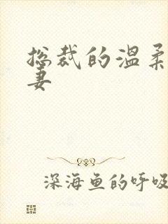 总裁的温柔乖乖妻