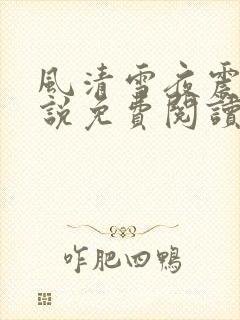 风清雪夜震风小说免费阅读