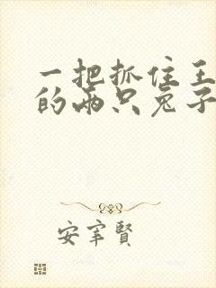 一把抓住王昭君的两只兔子