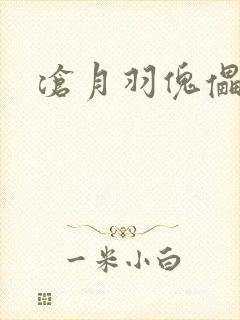 沧月羽傀儡之城