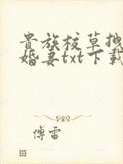 贵族校草拽拽未婚妻txt下载