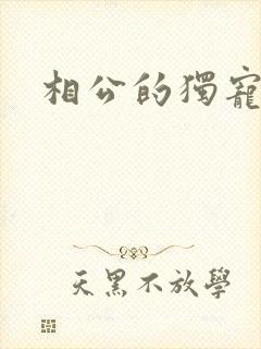 相公的独宠妻子