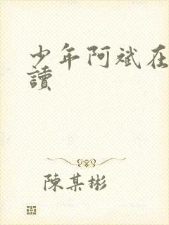 少年阿斌在线阅读