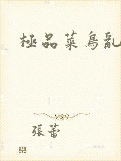 极品菜鸟乱江湖