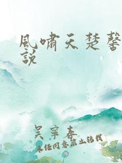 风啸天楚馨月小说