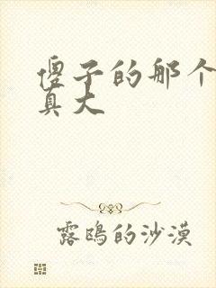 傻子的那个东西真大