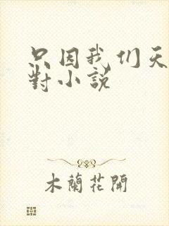 只因我们天生一对小说