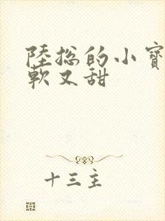 陆总的小宝贝又软又甜