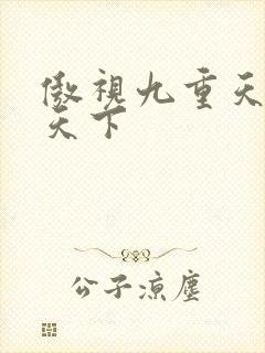 傲视九重天风凌天下