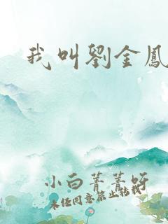 我叫刘金凤下架