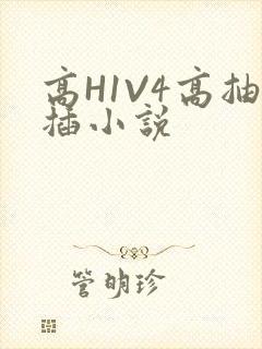 高H1V4高抽插小说