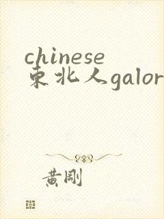 chinese东北人galore