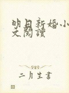 明日新婚小说全文阅读