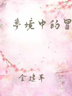 梦境中的冒险家